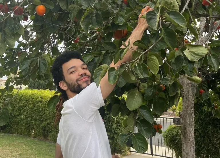 Justice Smith Biography, Age, Height, Net Worth